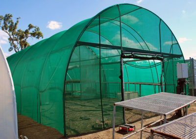 Greenhouse Cover - Green